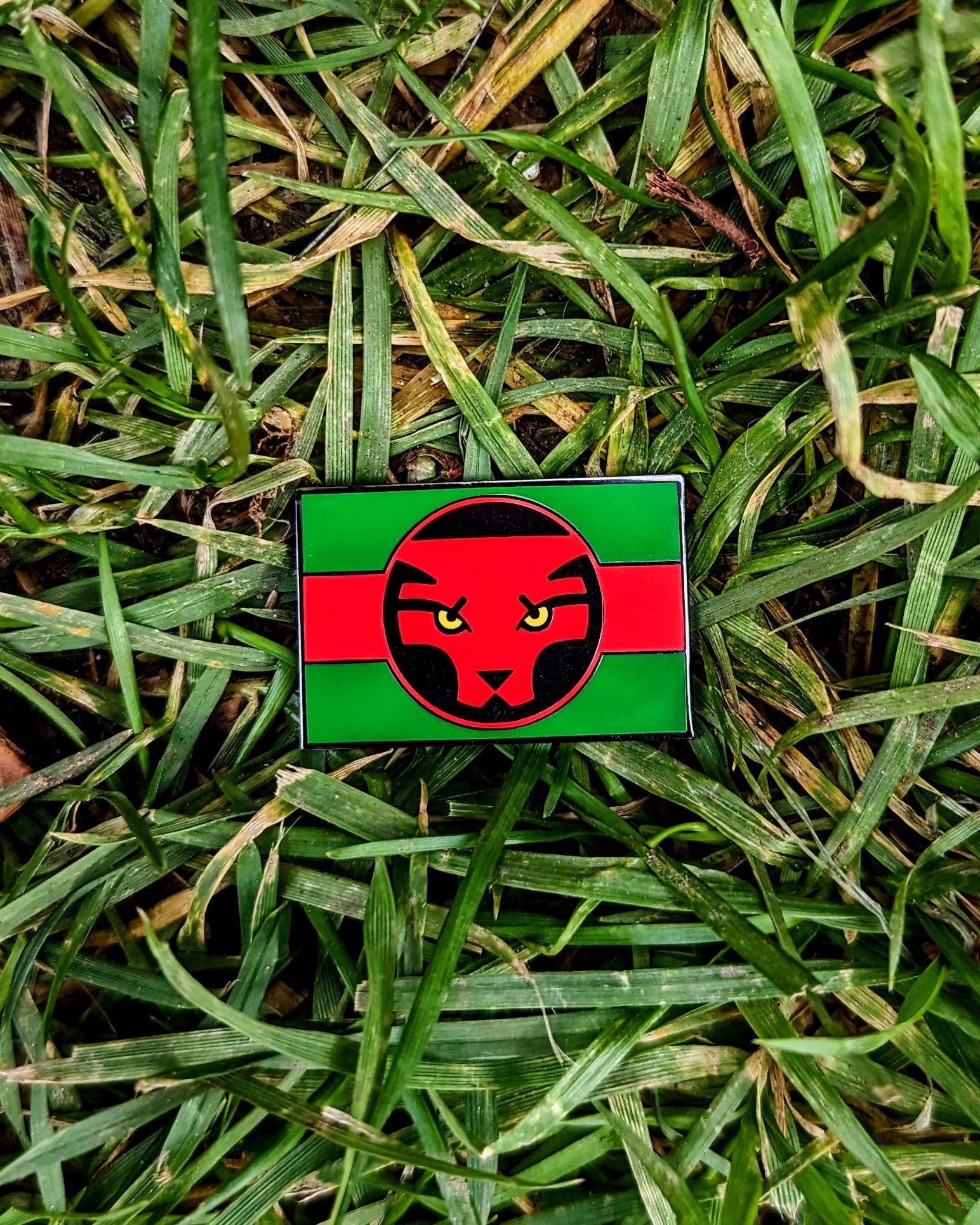 Wakanda Forever Pin