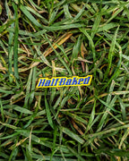 Keep Off the Grass Pin