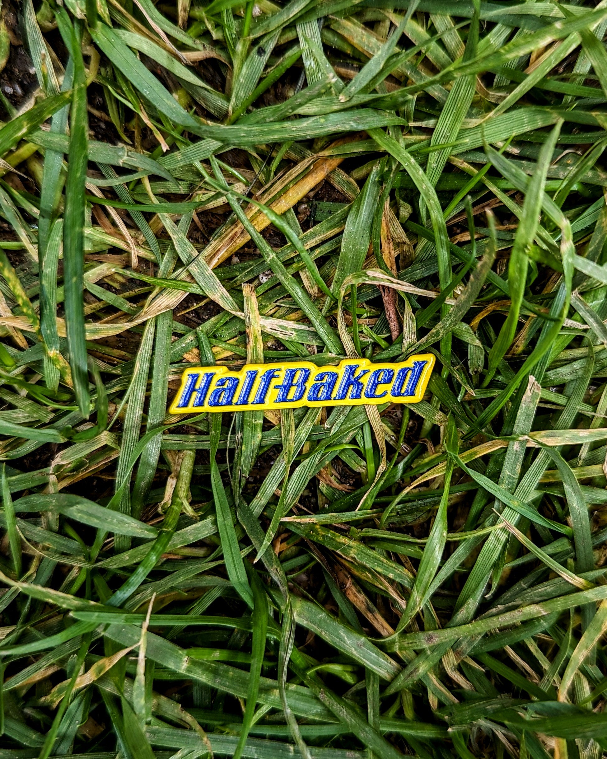 Keep Off the Grass Pin