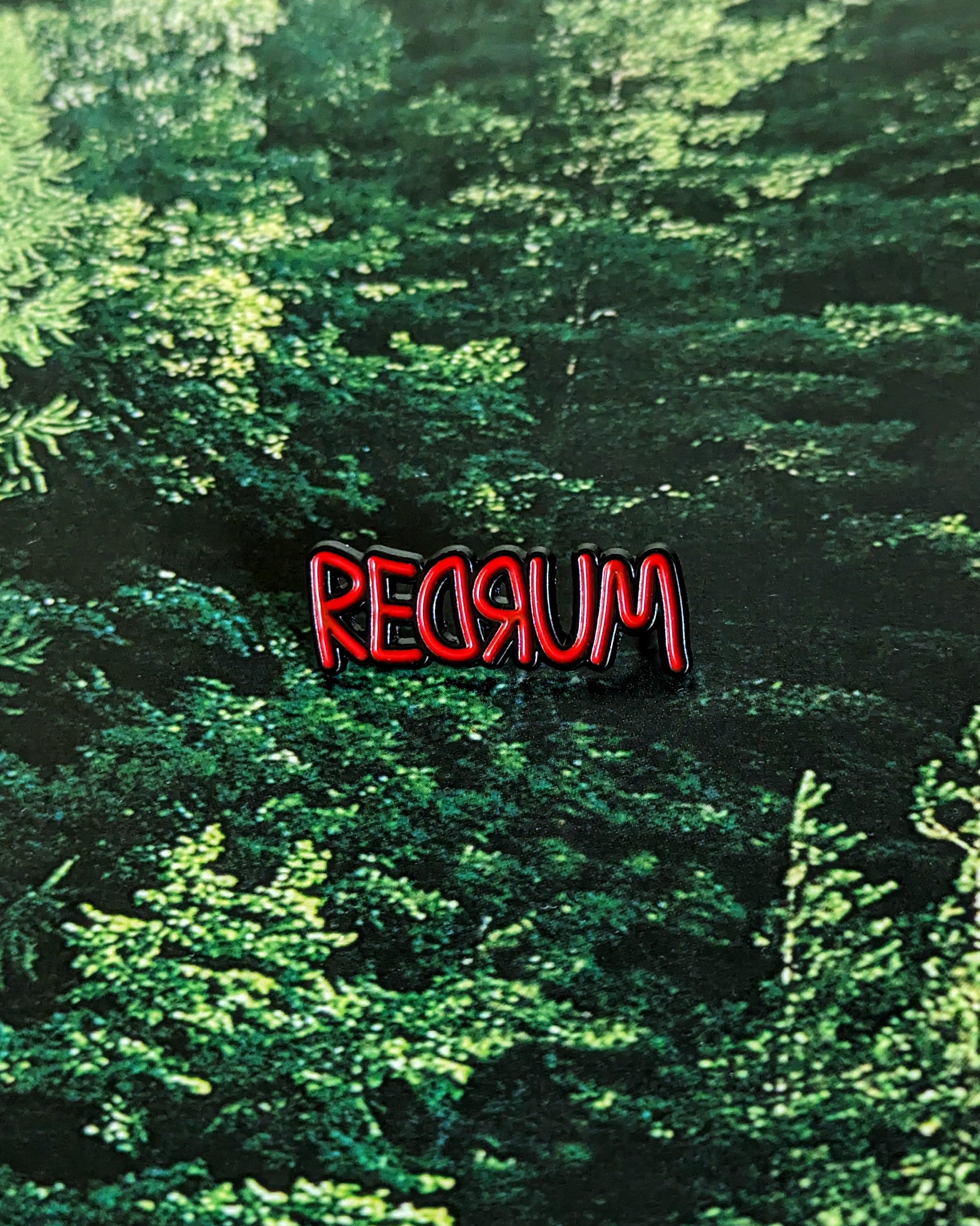 Spell It Backwards Pin