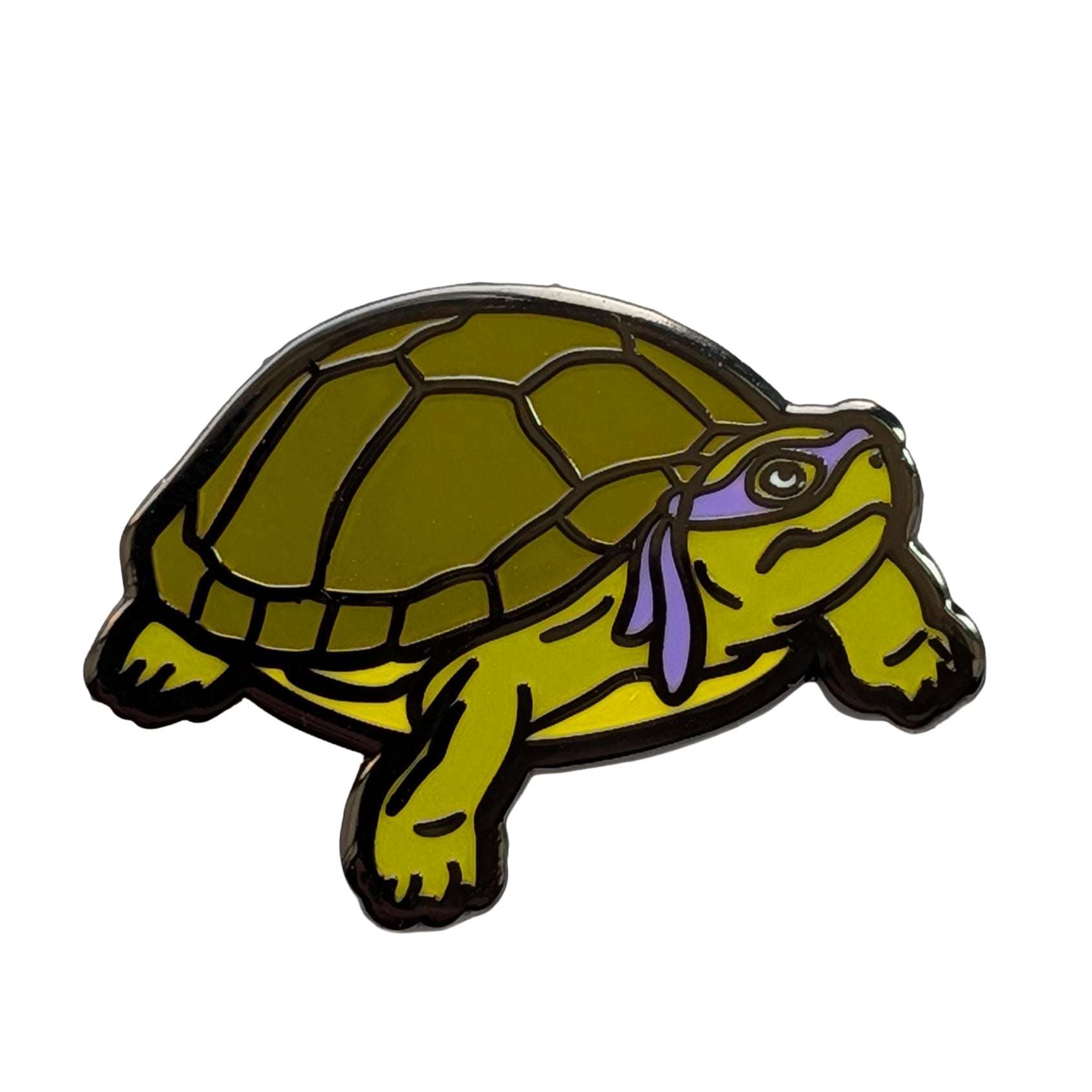 Turtle Power Pin Set