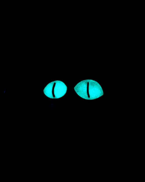 Black Cat Pin