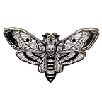Death Head Pin