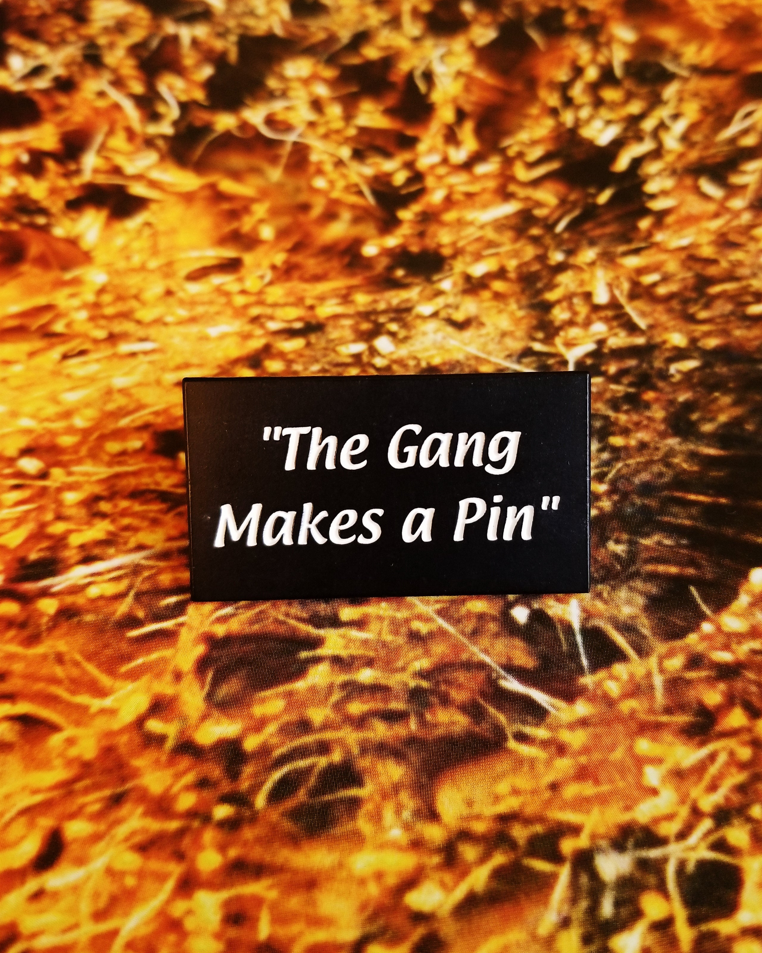 The Gang Makes a Pin
